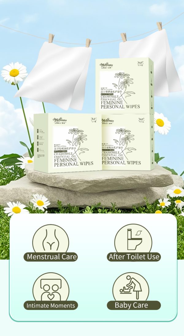 Feminine Flushable Wet Wipes (20pcs) - Image 3