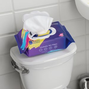 biodegradable flushable wipes (80pcs)